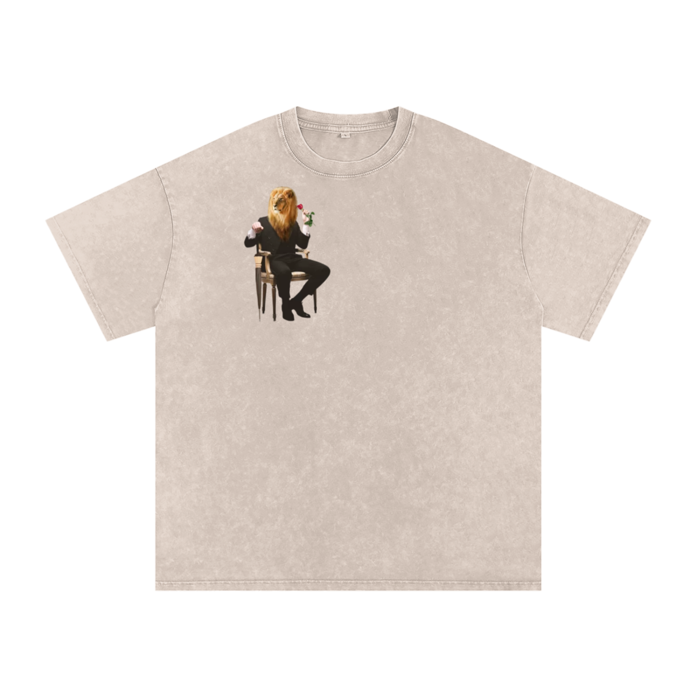 Snow Washed Oversized Cotton T-Shirt